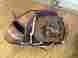 1200cw Nokona Insignia Buffalo Combo Range Baseball Glove 12 Rht Handmade In The Usa