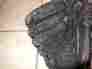 1257d Mizuno Fastpitch Black Glove 12.5 In Gpl