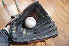 Ml13bf 13 " Rawlings Ml13bf 13 " Rawlings