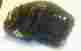 1796-b Wilson A2000 11.75 Rht Baseball Glove