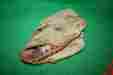 42-5115 Spalding 13 Inch Baseball Glove Used 42-5115 Spalding 13 Inch Baseball Glove Used