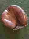 42-707 Spalding Yogi Berra Catchers Glove Model Baseball Mitt Leather Vtg
