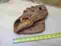 42-943 Spalding Vintage Baseball Glove Ra-17 Richie Allen Signature Model Rh