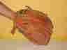 42-971 Spalding Base Ball Glove 3 Finger Hole Tourney Professional 1250
