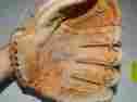 60-21210 Montgomery Ward Vintage Baseball Glove Registered Signed A Murphy
