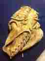 60-4080 Hawthorne Vintage Baseball Glove Mitt