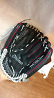 A082dkfp125 887768157937 Demarini New 12.5 Insane A082dkfp125 887768157937 Demarini New 12.5 Insane