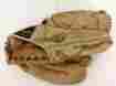 A2650 Wilson Bobby Bonds Baseball Glove