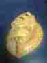 A2874 Wilson G2m Baseball Glove Bob Watson Big Scoop A2874 Wilson G2m Baseball Glove Bob Watson Big Scoop