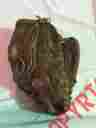 Agm650-cw Nokona 13.5 Baseball Softball Glove Excellent Condition Used 15 Games