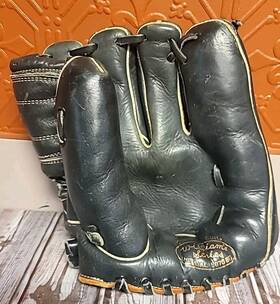 876bg Ahi 6361 Baseball Glove Model William Series Custom Built 10 Inch Black Rth Throw