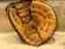 Bb-1250 Nokona 12.75 Kangaroo Baseball Softball First Base Mitt Right Throwing Bb-1250 Nokona 12.75 Kangaroo Baseball Softball First Base Mitt Right Throwing