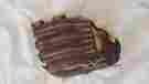Brsg-3500 Zett Dyna Model Brown 11 Baseball Glove Aerocatch Brsg-3500 Zett Dyna Model Brown 11 Baseball Glove Aerocatch