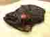 Bs-1200 Nokona 12 Buffalo Baseball Softball Glove Right Handed Throwing Bs-1200 Nokona 12 Buffalo Baseball Softball Glove Right Handed Throwing