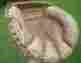 Cm-113 Spalding Vintage Regent Tan Leather Catchers Mitt Ball Glove Right Hand Thrower
