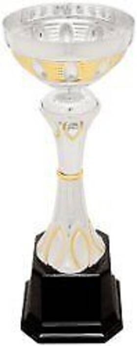 Decade Awards 713331113751 Cup Trophy Silver And Gold - 9.75 Inch Tall Metal Corporate Award En Decade Awards 713331113751 Cup Trophy Silver And Gold - 9.75 Inch Tall Metal Corporate Award En