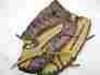 Dy1250 Louisville Slugger Dynasty Series 12.5 Right Hand Throw Softball Mitt