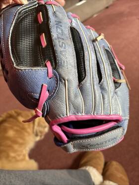 Nyfp1150bp Easton 11.5 Inch Youth Baseball Lht Glove Blue/pink Genuine Leather Nyfp1150bp Easton 11.5 Inch Youth Baseball Lht Glove Blue/pink Genuine Leather