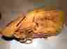 Ex1210 Easton Competitors Series Baseball Glove Mitt Great Condition Rht