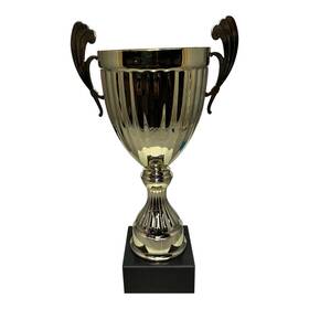 Express Medals 680083541791 12 Inch Metal Trophy Cup - Sport Tournaments Competitions Recognition Gift