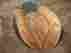 Fc2038 Glovesmith 34.5 Right Hand Baseball Leather Catchers Mitt