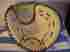 Fp203 Louisville Slugger Nwot Tps Fast Pitch Beige Catchers Mitt Rt Hand Thrower
