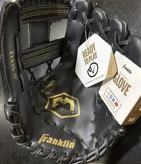 22635 Franklin Nwt Field Master Gold Series 11 Inch Youth Baseball Fielding Glove Blackrht 22635 Franklin Nwt Field Master Gold Series 11 Inch Youth Baseball Fielding Glove Blackrht