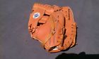 4809 Franklin New 9 1 2 Kids Glove Fits Left Hand For Right Throw 025725349876 4809 Franklin New 9 1 2 Kids Glove Fits Left Hand For Right Throw 025725349876