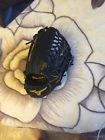 Gmp700bk 12.75 Limited Baseball Pro " Glove Mizuno Rht