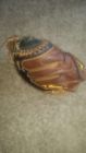 Gxs30f2rg Mizuno Classic Pro Gxs Fastpitch Catchers Mitt Gxs30f2rg Mizuno Classic Pro Gxs Fastpitch Catchers Mitt