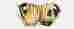 Natb1125 Easton Natural Elite Series 11.25 Inch Baseball Glove 885002295230
