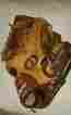 Pl-1150 Nokona Baseball Glove