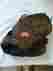 Pp1200s Rawlings 12 Baseball Glove Right Hand Thrower Leather Fastback