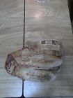 R60-211600 Pro Model Glove Oversize Softball " 13.5
