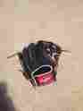 Pro1000-6 Rawlings Custom 12.25inch