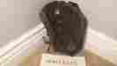 Prodj2ds Rawlings Hoh Heart Of The Hide 11.5 Baseball Glove Nwt Rht 083321635403 Prodj2ds Rawlings Hoh Heart Of The Hide 11.5 Baseball Glove Nwt Rht 083321635403