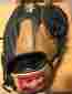 Pros1150sc Rawlings Pro Preferred 11.5