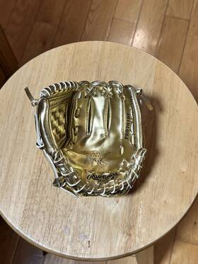Erbh2 Rawlings Mini Gold Glove Heart Of The Hide Baseball Mlb
