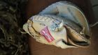 Rcm33 Rawlings Mitt Catchers Baseball