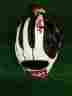 Rla315sbpt Rawlings Liberty Advanced 11.75 Fastpitch Softball Glove