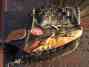 Rs1408 Renegade Rawlings Softball Glove Rs1408 Renegade Rawlings Softball Glove