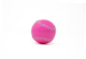 S.c. Products Inc. 799025719836 Pink Softball 11 Inch