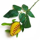 Sb-02644 Chalktalksports Softball Rose Gifts Genuine Leather