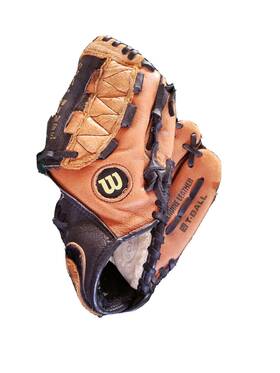 Tpg10 Wilson 026388301515 Pro 450 Leather Baseball Glove Mitt 10 Inch Rht A0450 Dual Hinge T Ball Tpg10 Wilson 026388301515 Pro 450 Leather Baseball Glove Mitt 10 Inch Rht A0450 Dual Hinge T Ball
