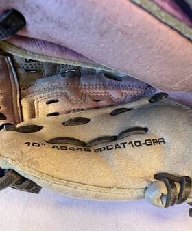 Fpcat10-gpr Wilson A0440 10 Inch Leather Baseball Glove