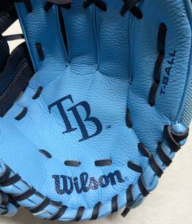Ao2rb16tb Wilson A200 Tampa Bay Rays Youth T-ball Baseball Glove 10 Inch