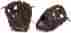 X2-1125i Nokona X2 Elite 11.25 Baseball Mitt Rht 808808889267
