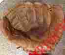 Xpg26 Rawlings Amos Otis Baseball Softball Glove Mitt Rh Throw 12.5 Adult Usa