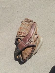 Vintage Franklin Baseball Glove 4059 Right Throw. Fixed Price $21.00.