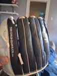 Rawlings Baseball Glove 12. Fixed Price $24.95.